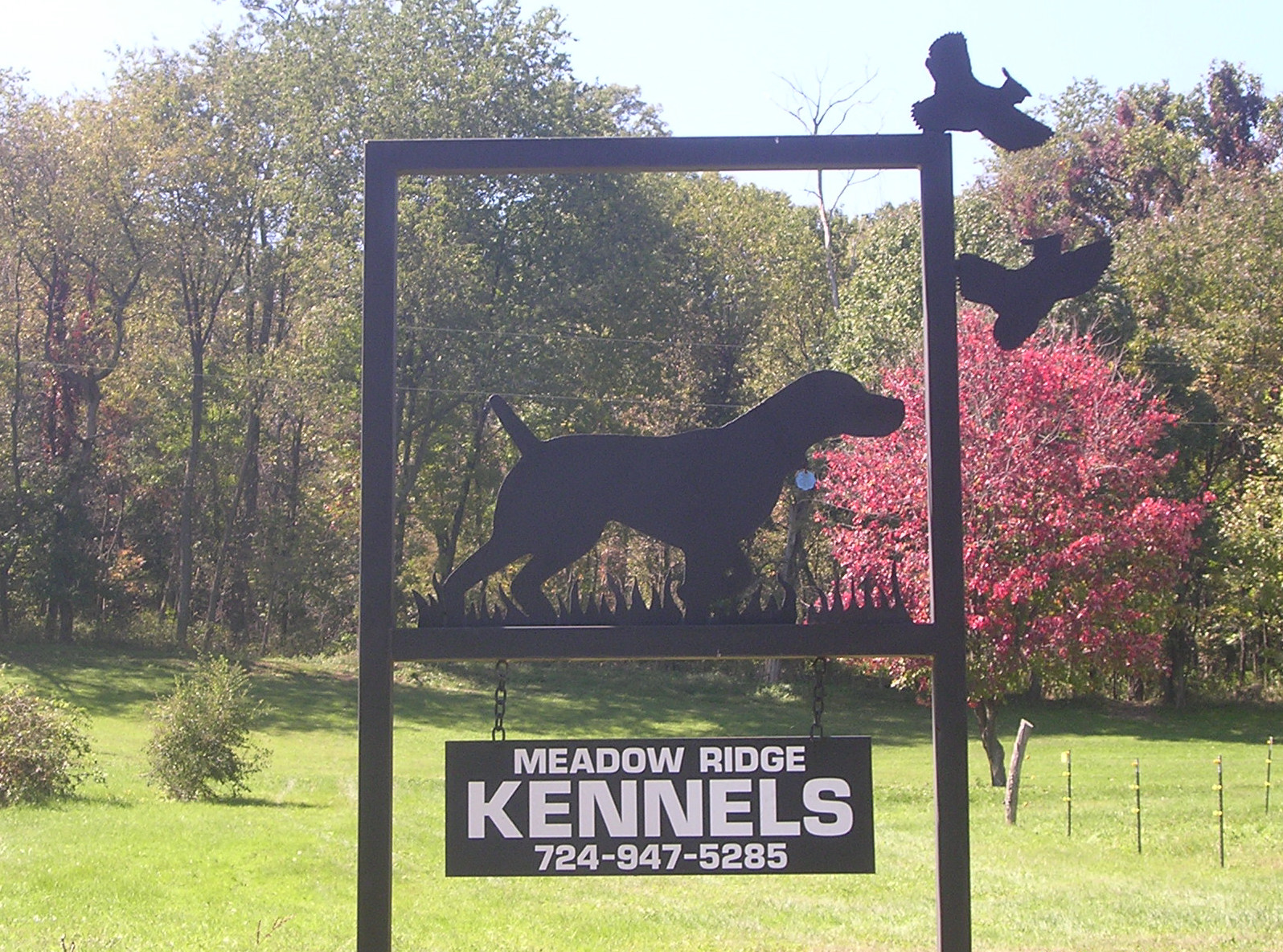 park ridge kennels